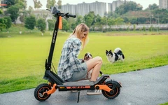 Off Road elektrik Scooter